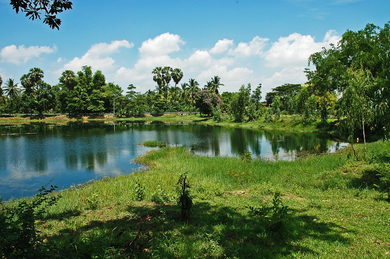 Mažas Ežeras, Khorat, Tailandas, Kraštovaizdis, Nemokamos Nuotraukos,  Nemokama Licenzija