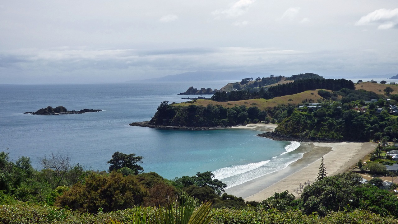 Mažas Palmių Paplūdimys, Waiheke Sala, Naujoji Zelandija, Auckland, Juodas Smelis, Nemokamos Nuotraukos,  Nemokama Licenzija