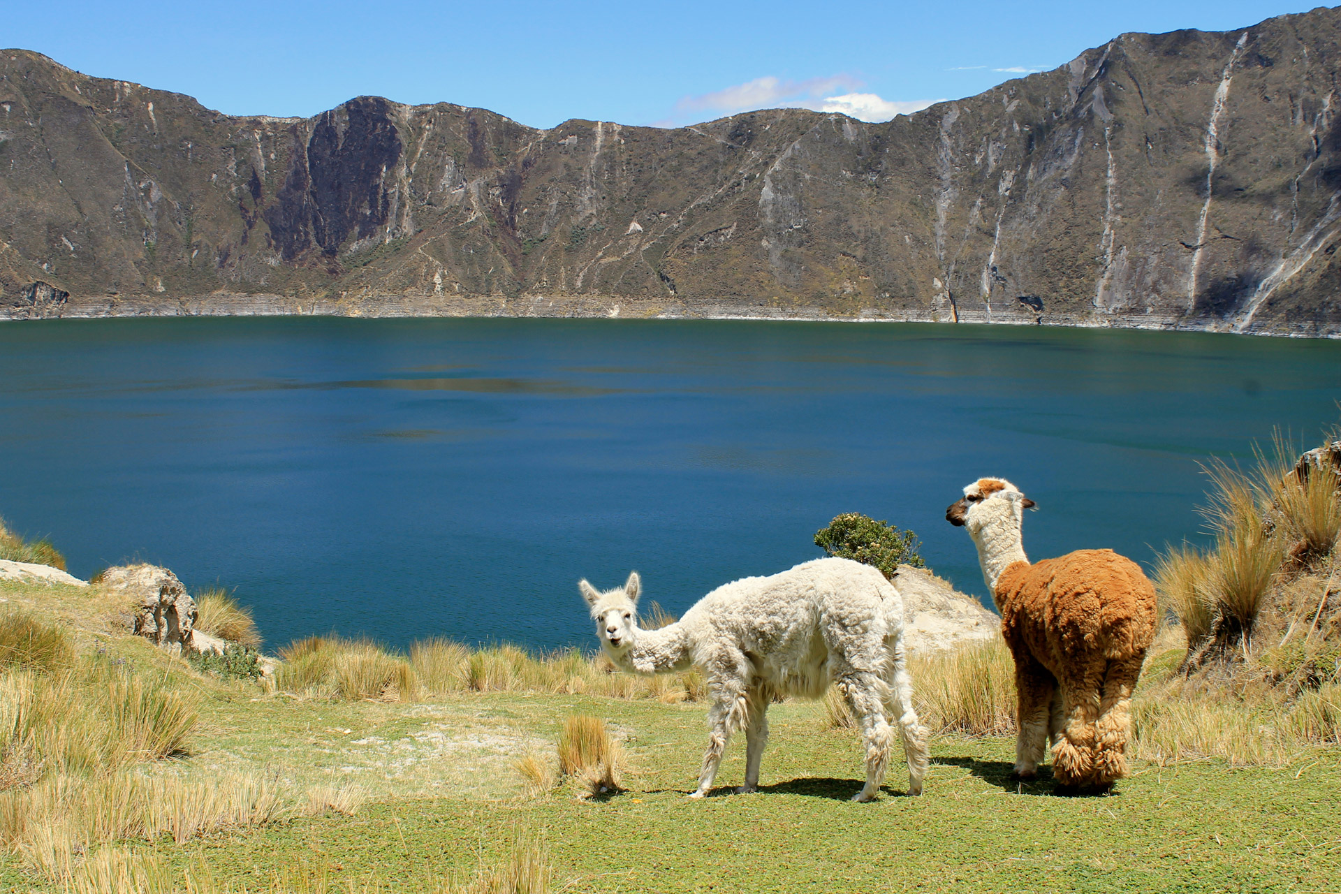 Liepsnos,  Quilotoa,  Ekvadoras Ežeras,  Liepsnos Laikrodis, Nemokamos Nuotraukos,  Nemokama Licenzija