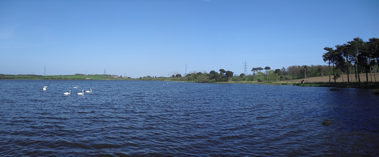 Lochgelly Loch, Škotija, Vaizdingas, Ežeras, Vanduo, Gulbės, Kraštovaizdis, Nemokamos Nuotraukos,  Nemokama Licenzija