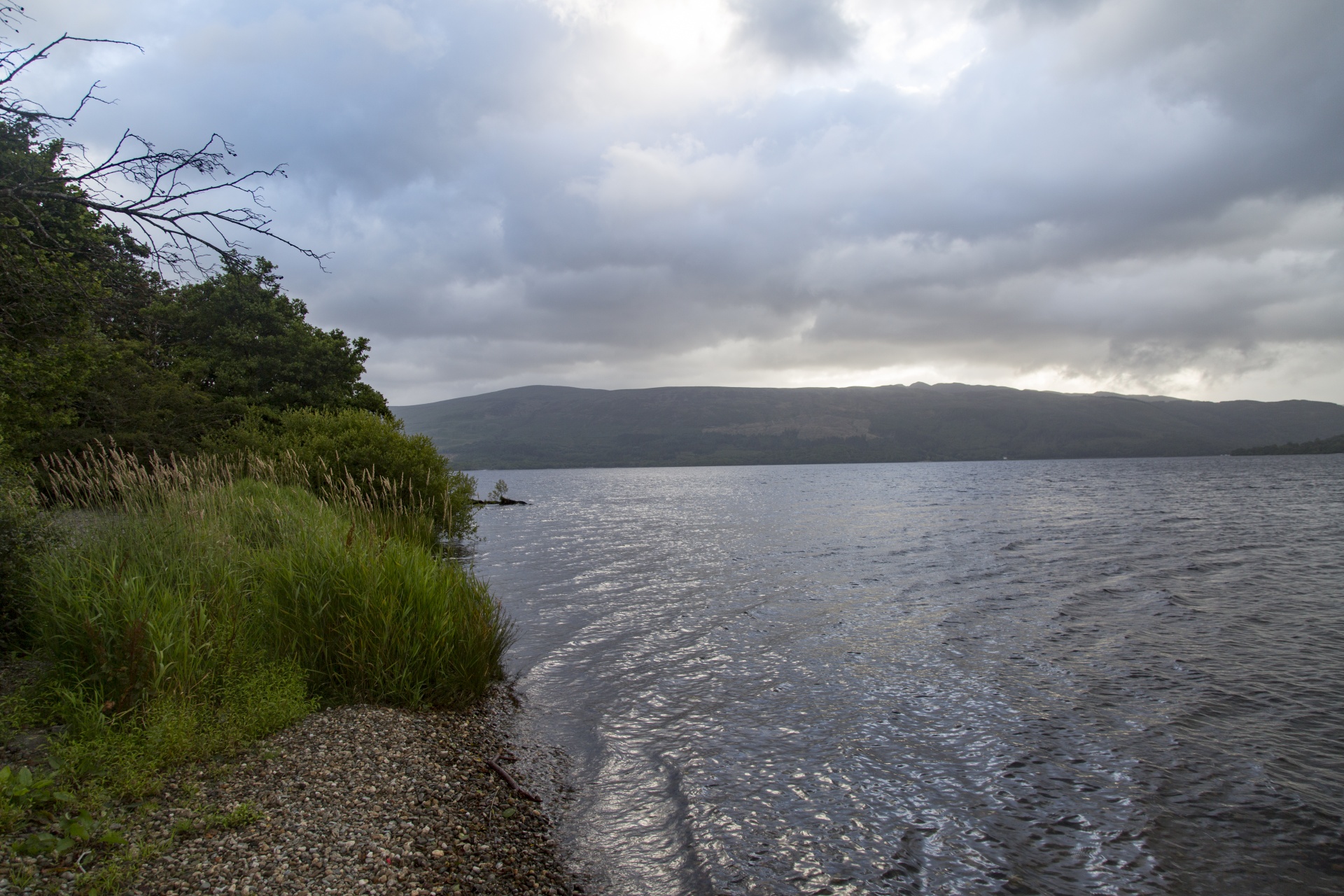 Loch,  Škotija,  Populiarus,  Highland,  Žalias,  Ežeras,  Melas,  Loch & Nbsp,  Lomond,  Rodoma
