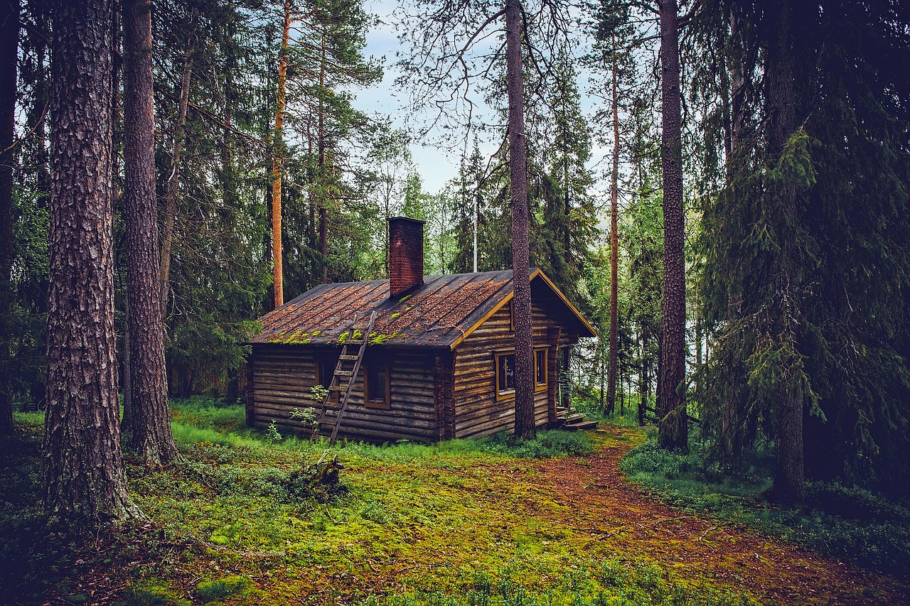 Rąstinis Namelis, Namelis, Namas, Namai, Finland, Kraštovaizdis, Gamta, Lauke, Šalis, Kaimas