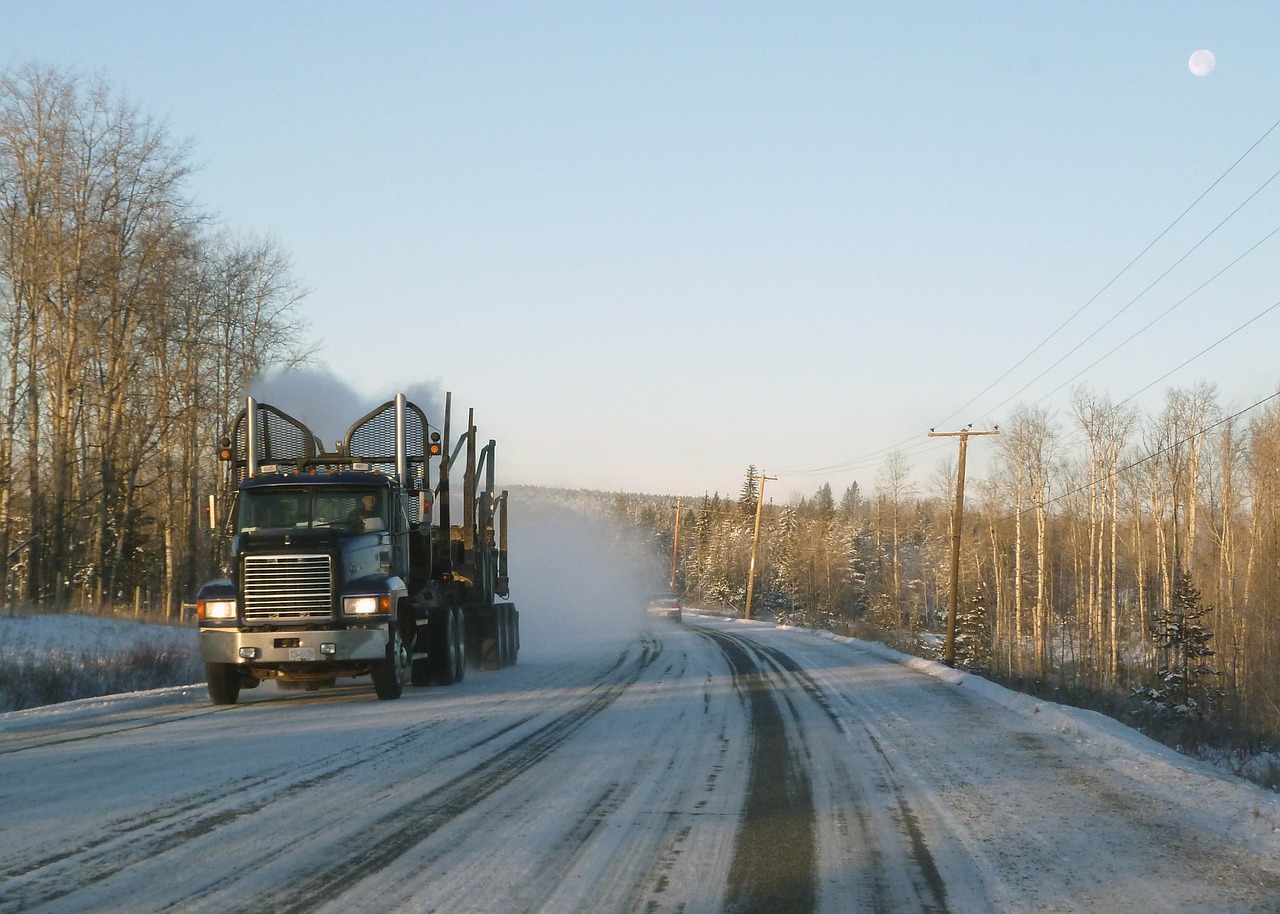 Logistika, Medienos Ruoša, Sunkvežimis, Gabenimas, Sniegas Padengtas, Kelias, Šaltas, Užšaldymas, Oras, Žiema