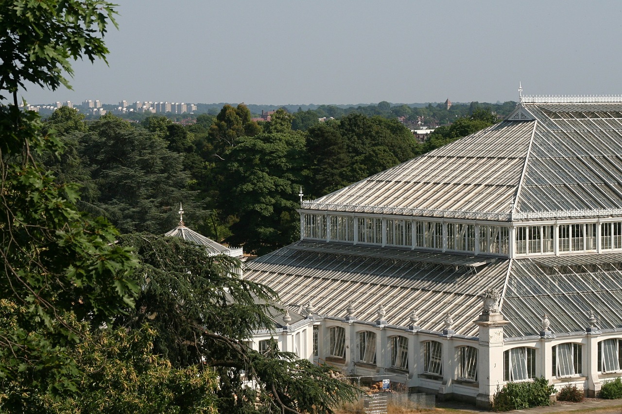 Londonas, Anglija, Kew Sodas, Šiltnamyje, Vaizdas, Miestas, Sodas, Jungtinė Karalystė, Architektūra, Žinomas