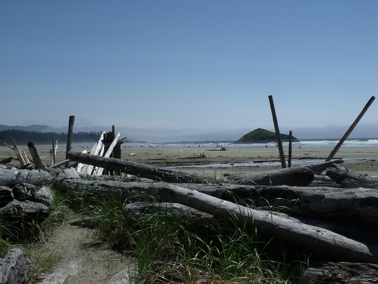 Ilgas Paplūdimys, Driftwood, Smėlis, Vandenynas, Kranto, Dangus, Bangos, Naršyti, Kraštovaizdis, Nemokamos Nuotraukos