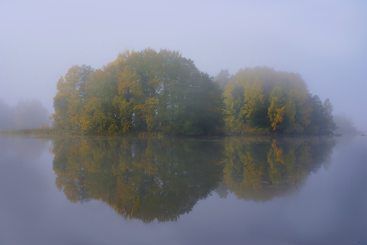 Ilgas Tarpas, Rezervas, Vanduo, Ruduo, Švedija, Migla, Veidrodinis Vaizdas, Gamta, Vis Dar, Paslaptinga Atmosfera