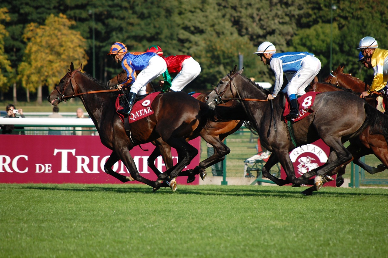 Longchamp, Arklys, Lenktynės, Nemokamos Nuotraukos,  Nemokama Licenzija