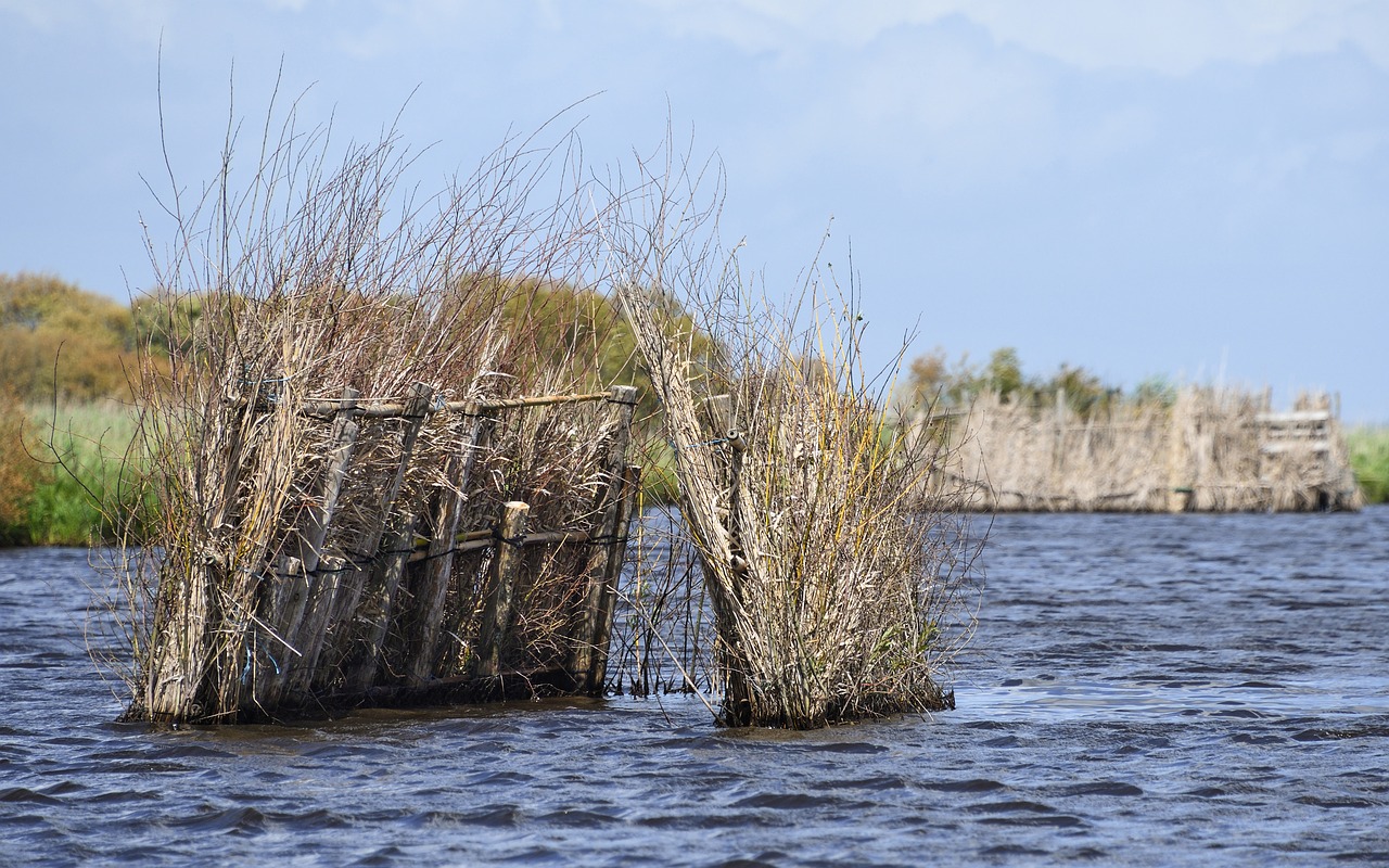 Lookout, Marsh, Briere, Atlanto Vandenyno Pakrantė, Vandens, Nemokamos Nuotraukos,  Nemokama Licenzija