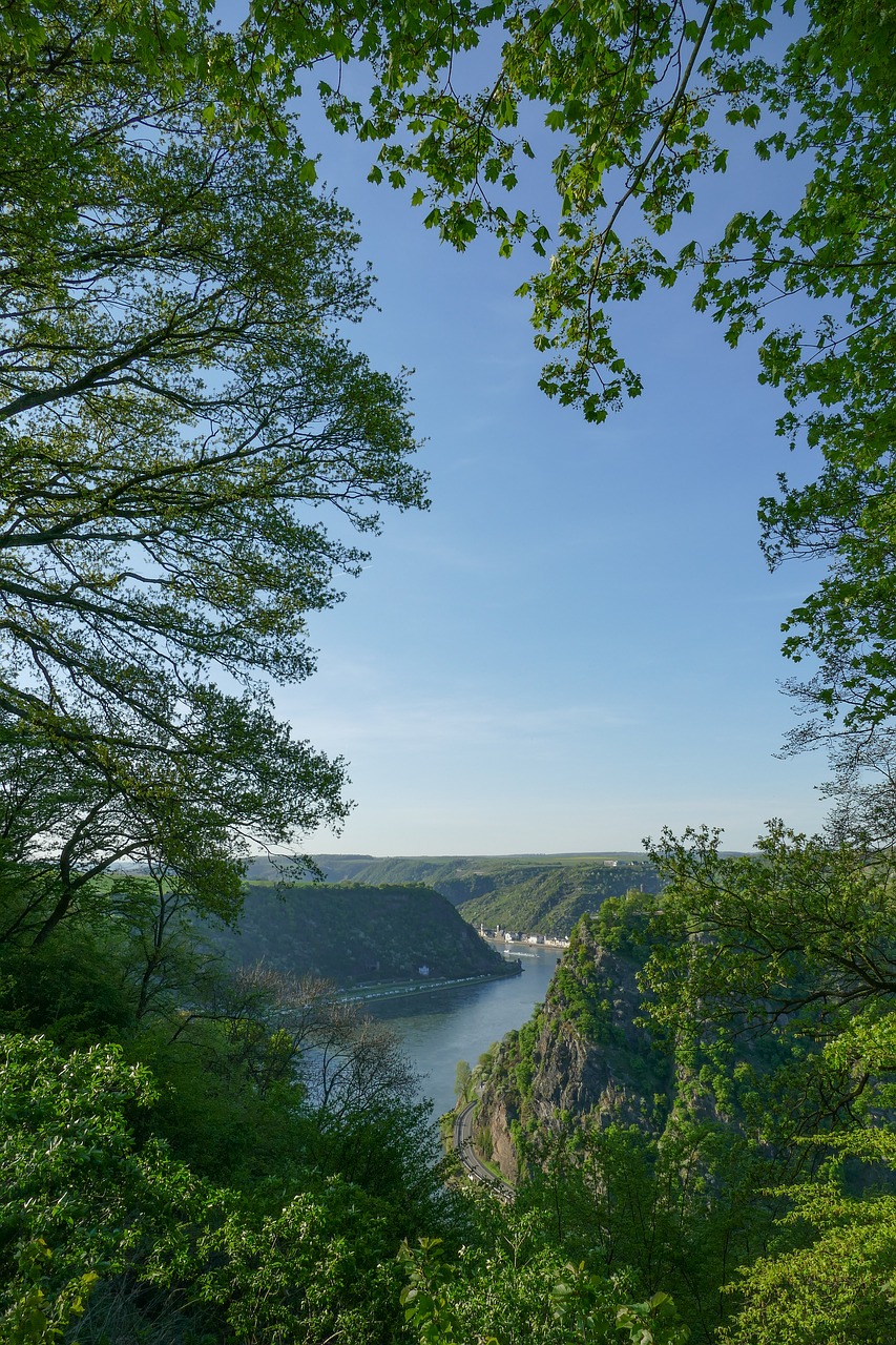 Loreley Peržiūros,  Maria Ruh,  Ariama,  Sankt Goar,  Pobūdį,  Medis,  Kraštovaizdis,  Mediena,  Vandenys,  Reino