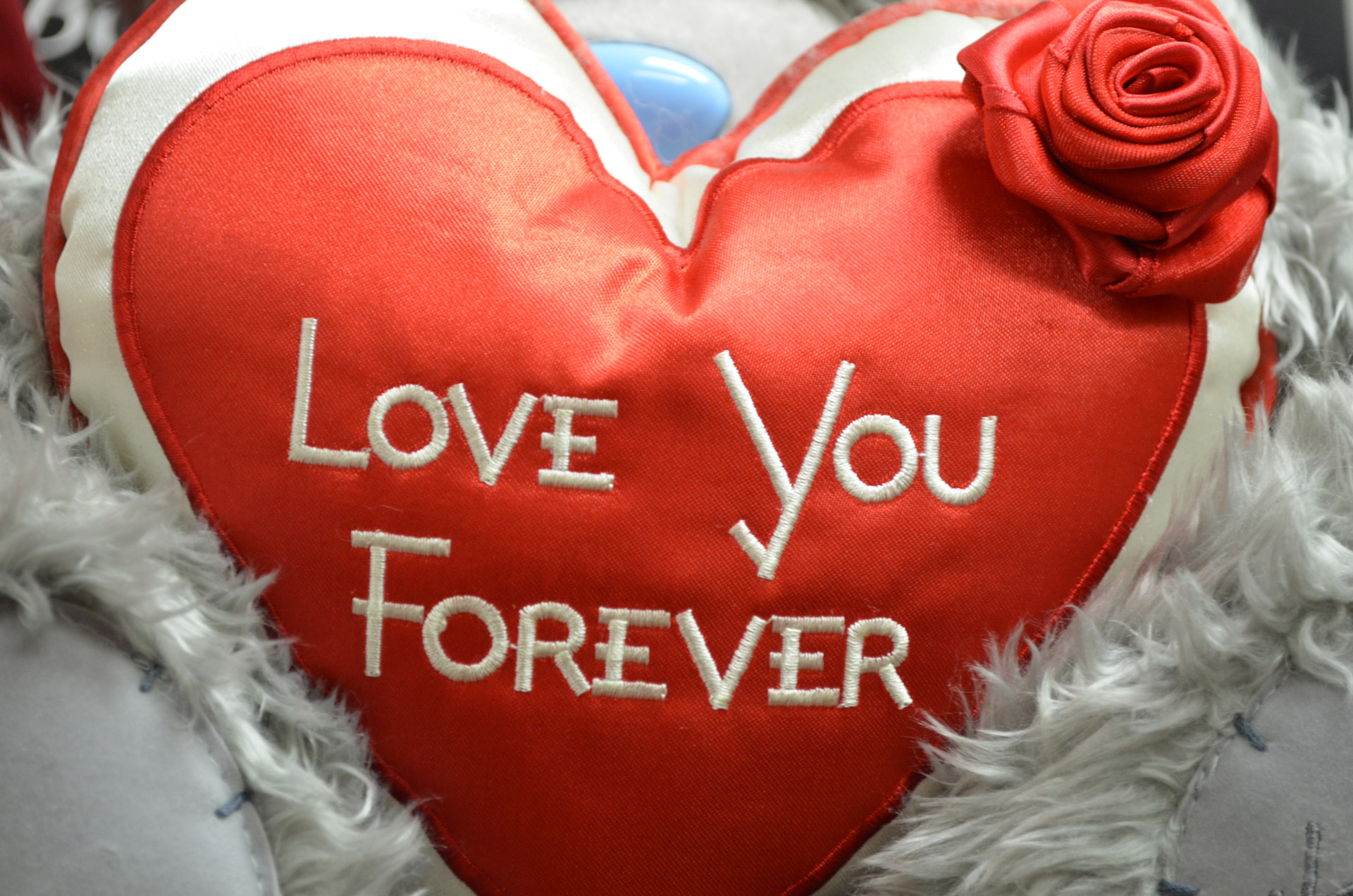 Valentine,  Širdis,  Meilė,  Draugystė,  Raudona,  Religija,  Fonas,  Makro,  Simbolis,  Mylėsiu Tave Amžinai