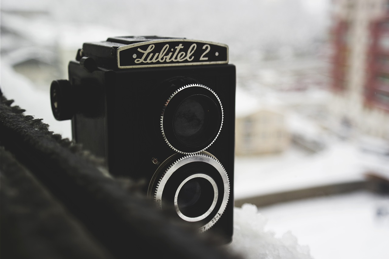 Lubitel, Fotoaparatas, Objektyvas, Fotografija, Rusija, Produktas, Nemokamos Nuotraukos,  Nemokama Licenzija