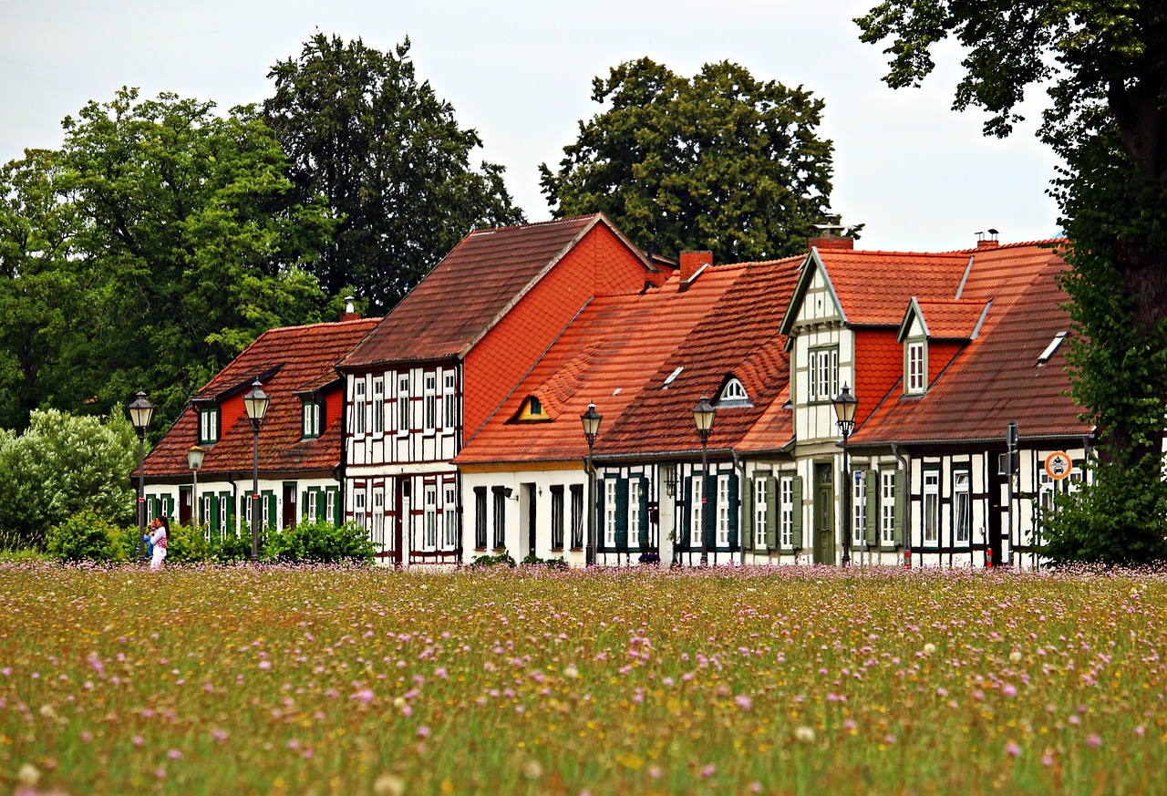 Ludwigslust-Parchim, Santūra, Namai, Pieva, Gėlės, Gėlių Pieva, Fachwerkhaus, Nemokamos Nuotraukos,  Nemokama Licenzija