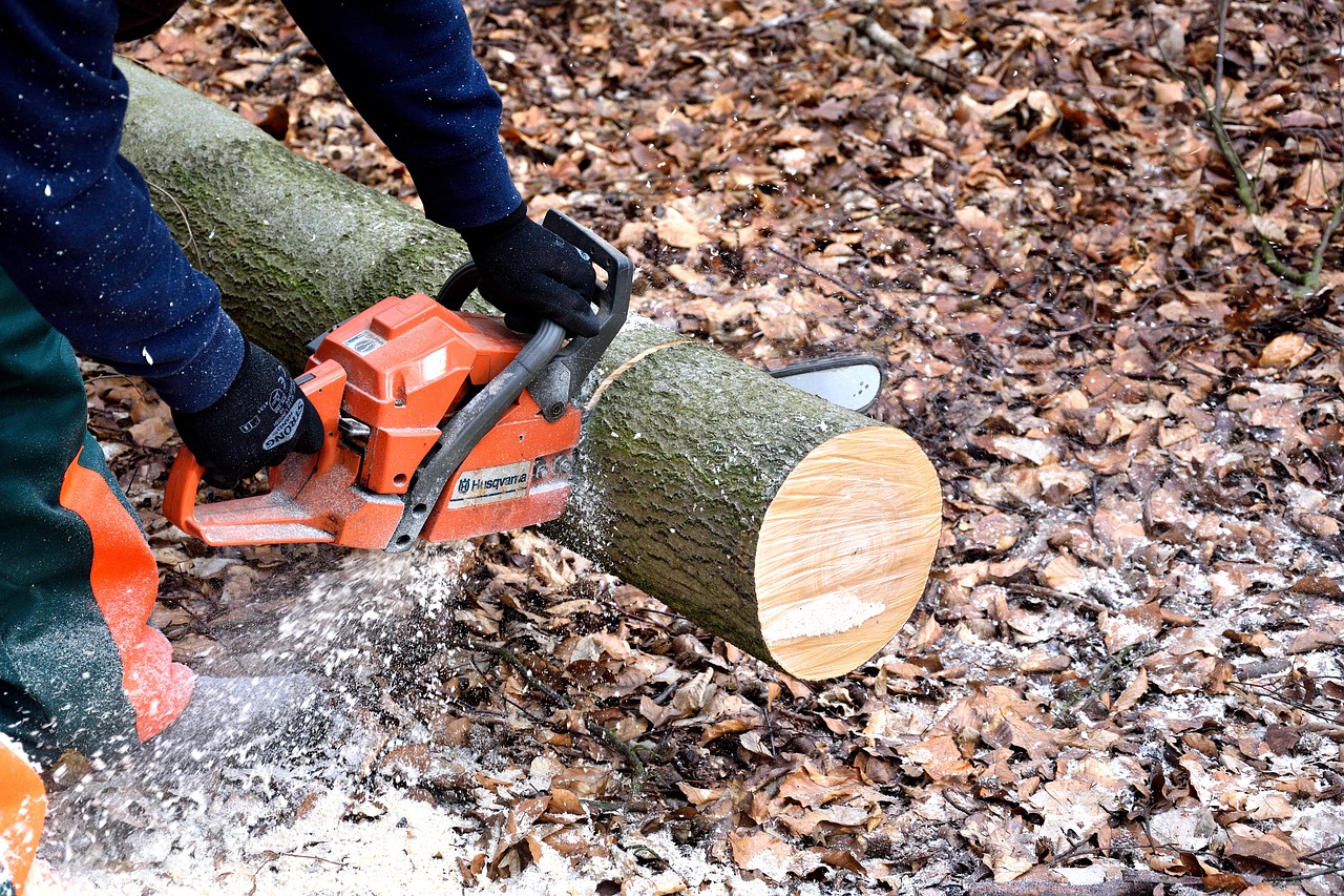 Lumberjack, Grandininiai Pjūklai, Medžio Dirbiniai, Medžių Kamienus, Mediena, Nemokamos Nuotraukos,  Nemokama Licenzija