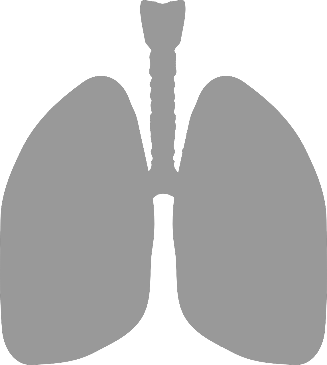 Plaučiai, Medicina, Kvėpuoti, Deguonis, Sveikata, Kvėpavimo Takai, Vamzdis, Siluetas, Pilka, Nemokama Vektorinė Grafika