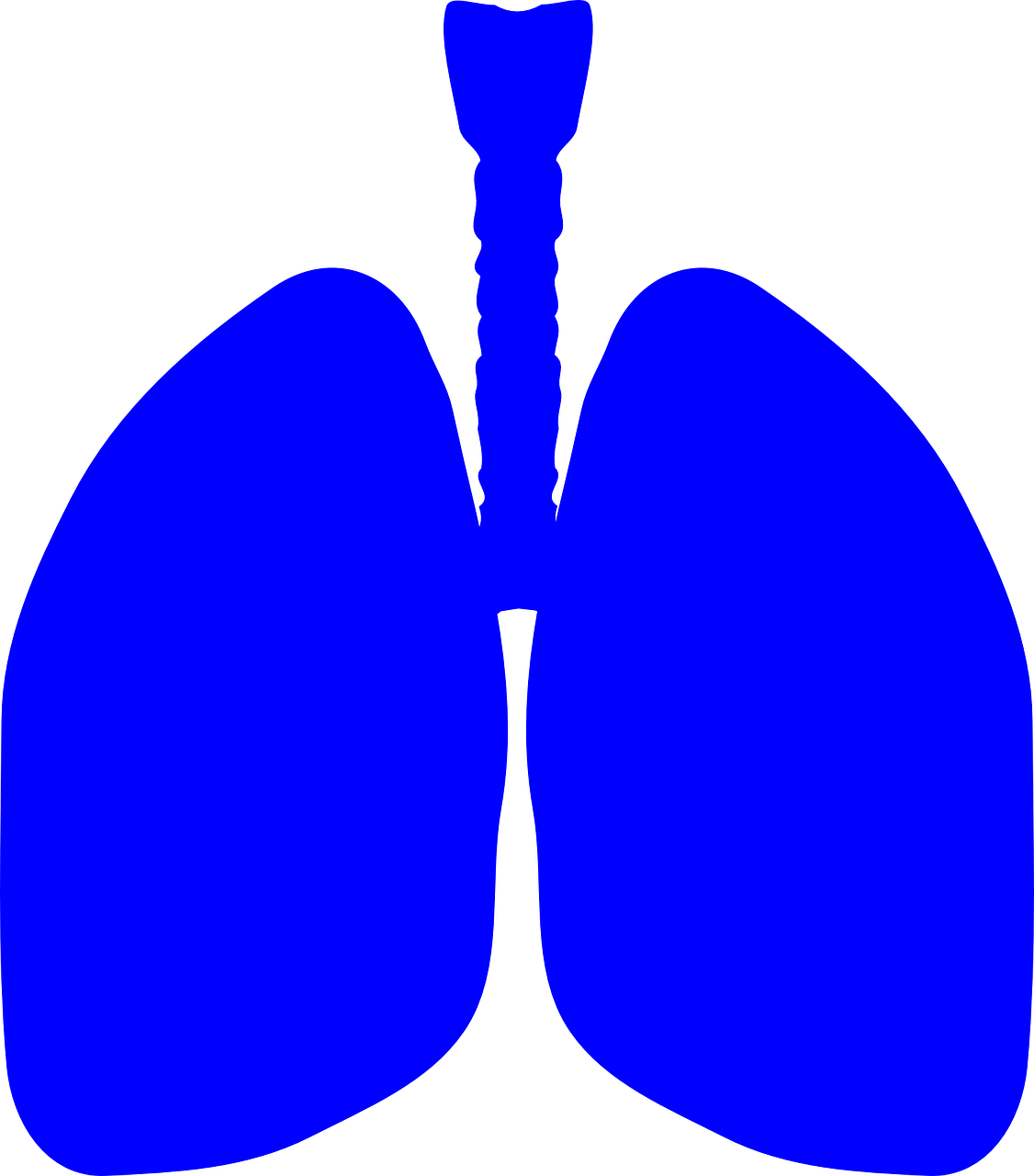 Plaučiai, Žmogaus Kūnas, Anatomija, Kūnas, Žmogus, Medicinos, Sveikata, Biologija, Plaučių, Piktograma
