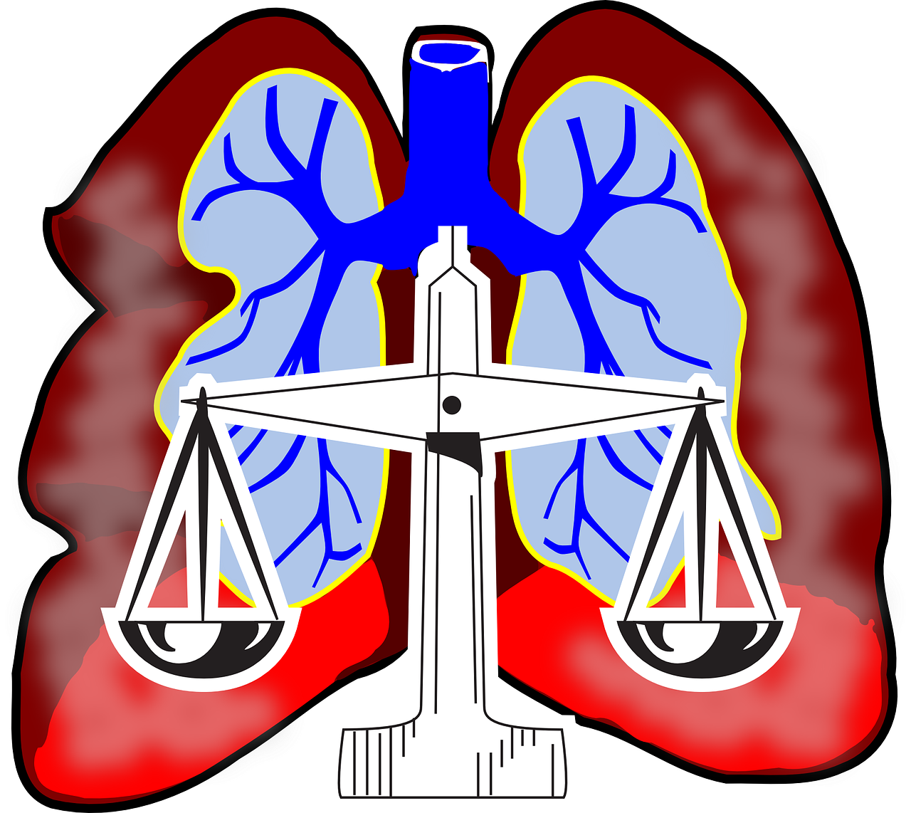 Plaučiai, Diagrama, Oras, Sistema, Kvėpavimo Takai, Biologija, Kvėpavimas, Sveikata, Mokslas, Medicina