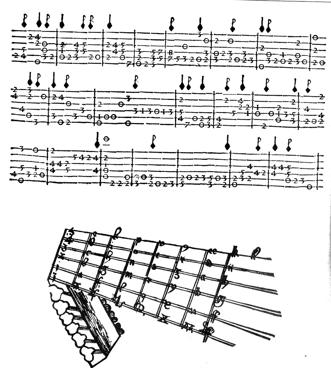 Luta, Tablature, Muzika, Pertvara, Nemokamos Nuotraukos,  Nemokama Licenzija