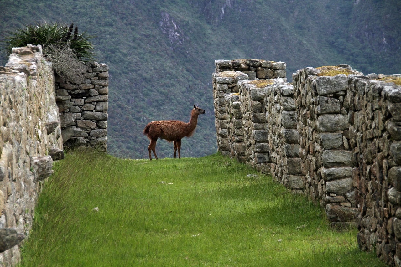 Maču Pikču, Peru, Inca, Į Pietus, Amerikietis, Senovės, Miestas, Istorinis, Turizmas, Andes