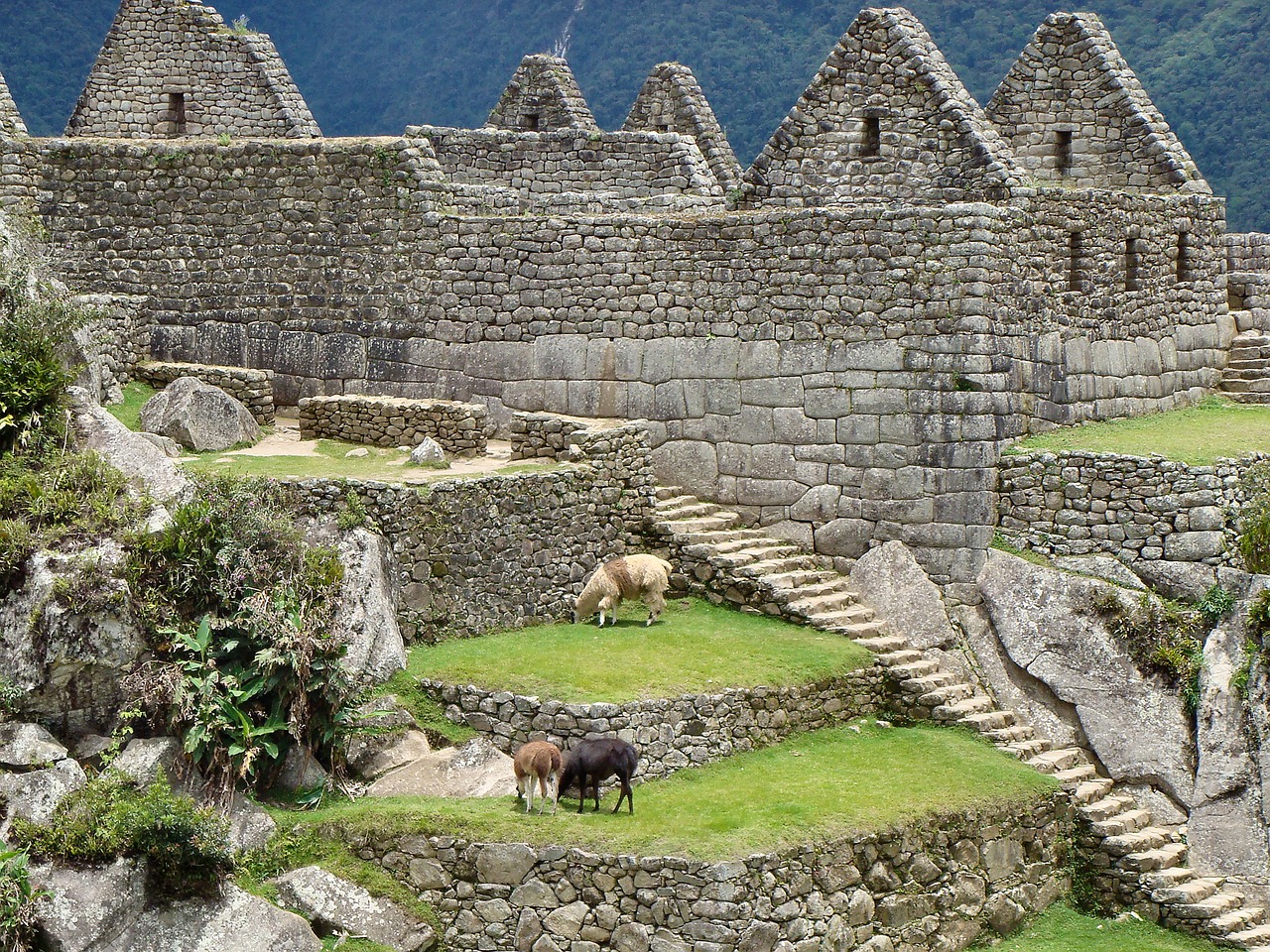 Maču Pikču, Griuvėsiai, Senamiestis, Incas, Peru, Inca, Pietų Amerika, Andes, Senovės Civilizacija, Lamas