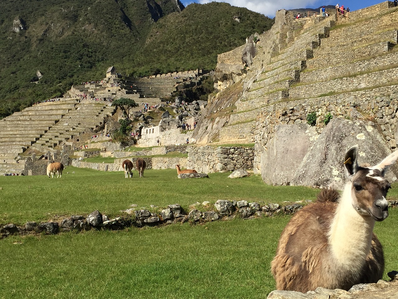 Maču Pikču, Peru, Žygiai, Nemokamos Nuotraukos,  Nemokama Licenzija