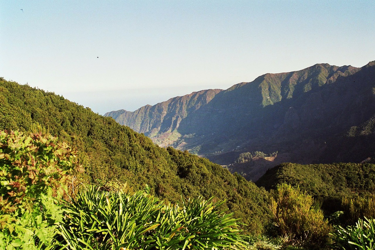 Madeira, Highlands, Kalnai, Aukščiausiojo Lygio Susitikimas, Levada, Žygiai, Atsipalaiduoti, Atsipalaidavimas, Krioklys, Atsigavimas