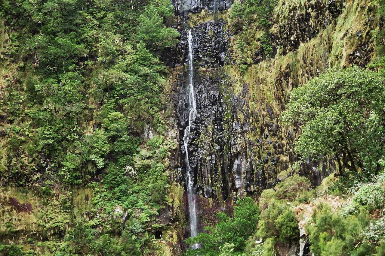 Madeira, Krioklys, Highlands, Kalnai, Aukščiausiojo Lygio Susitikimas, Levada, Eukalipto Miškas, Žygiai, Atsipalaiduoti, Atsipalaidavimas