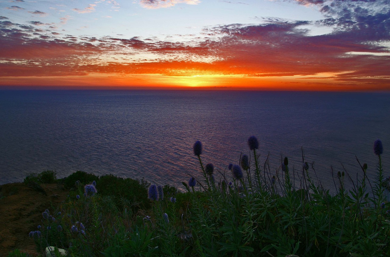 Madeira, Saulėlydis, Jūra, Romantika, Portugal, Nemokamos Nuotraukos,  Nemokama Licenzija