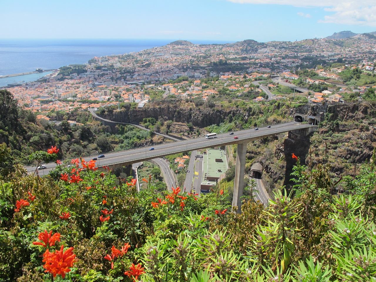 Madeira, Portugal, Kelionė, Miestas, Nemokamos Nuotraukos,  Nemokama Licenzija