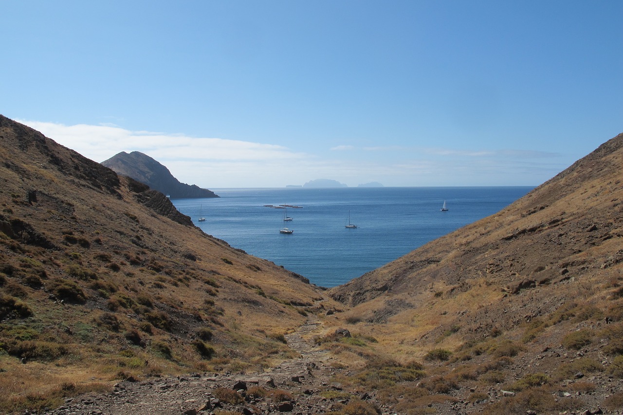 Madeira, Užsakytas, Jūra, Nemokamos Nuotraukos,  Nemokama Licenzija