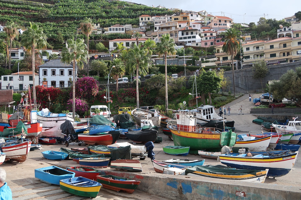 Madeira,  Valtis,  Miestas,  Miestas,  Jūra,  Kelionė, Nemokamos Nuotraukos,  Nemokama Licenzija