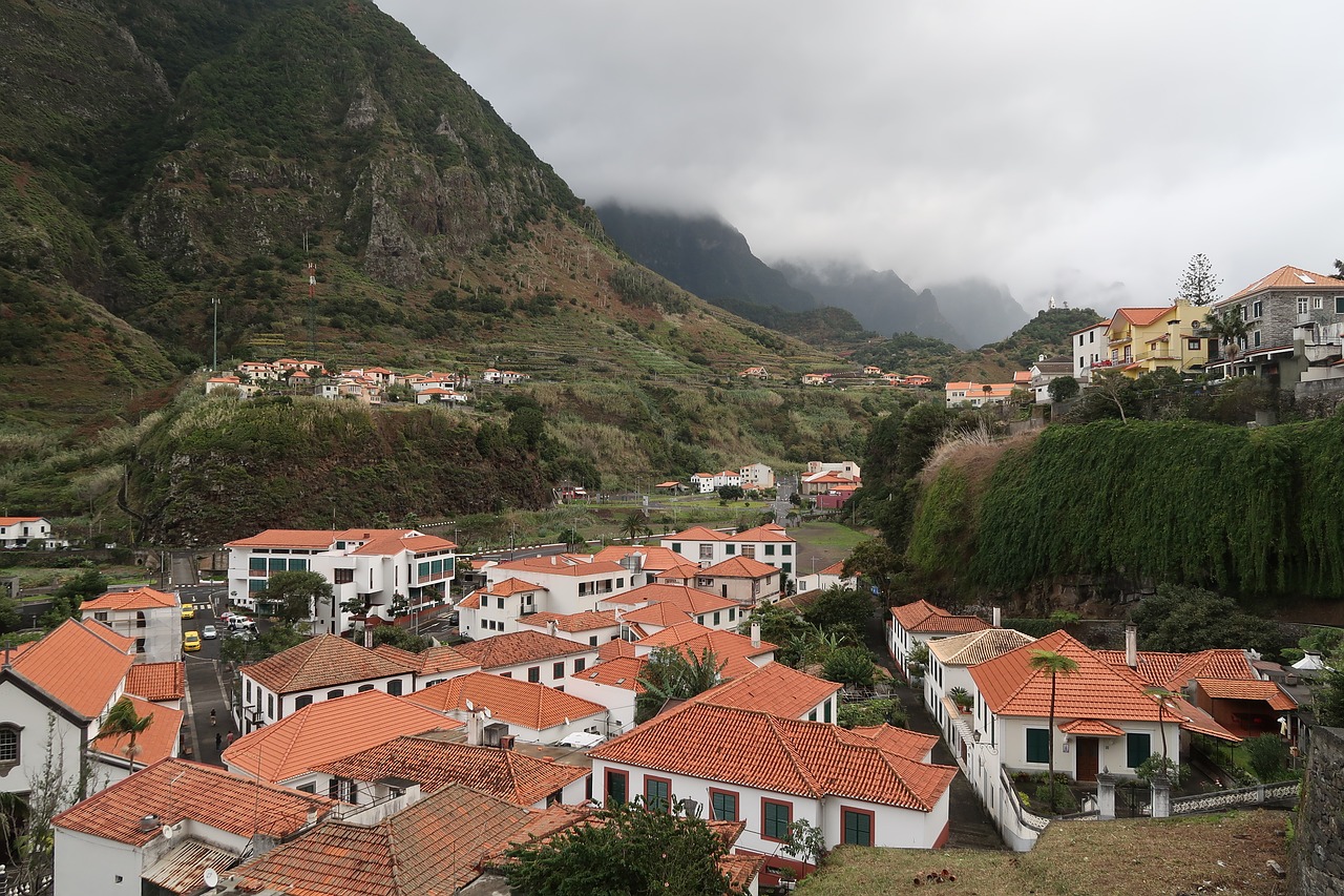 Madeira,  Miestas,  Architektūra,  Namas,  Panoraminis,  Kelionė, Nemokamos Nuotraukos,  Nemokama Licenzija