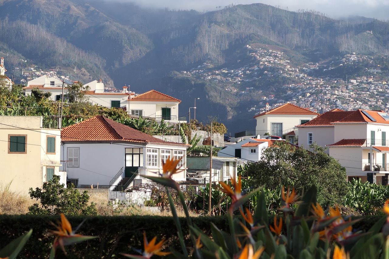 Madeira,  Namas,  Miestas,  Architektūra,  Stogo,  Kelionė, Nemokamos Nuotraukos,  Nemokama Licenzija