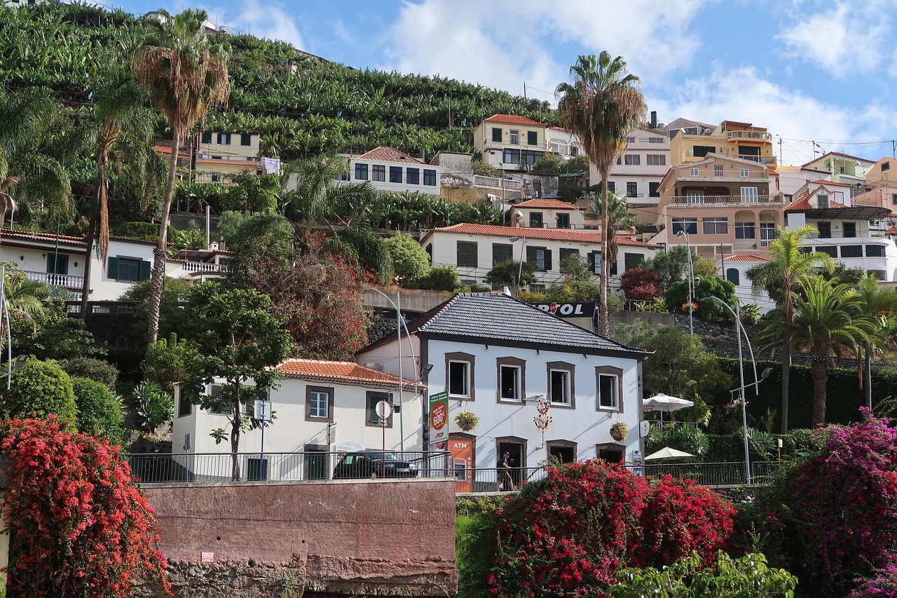 Madeira,  Namai,  Kalnas, Nemokamos Nuotraukos,  Nemokama Licenzija