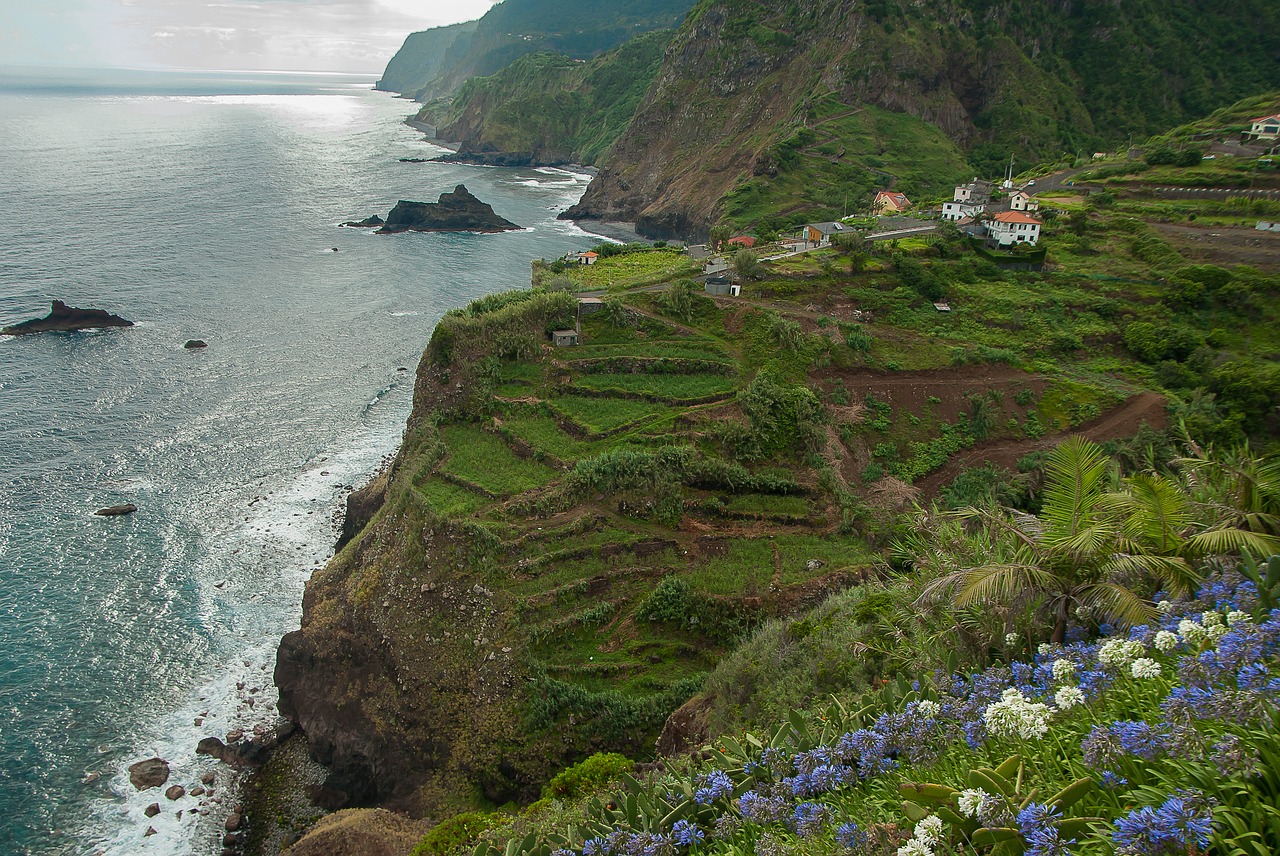 Madeira,  Uolos,  Portugalija,  Atlanto, Nemokamos Nuotraukos,  Nemokama Licenzija