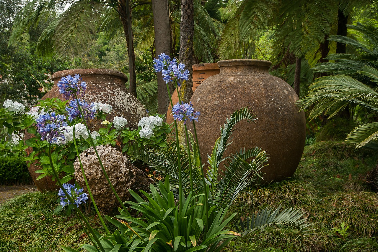 Madeira,  Tropical Garden,  Agapanthes,  Ortensias,  Paparčiai,  Keramika, Nemokamos Nuotraukos,  Nemokama Licenzija