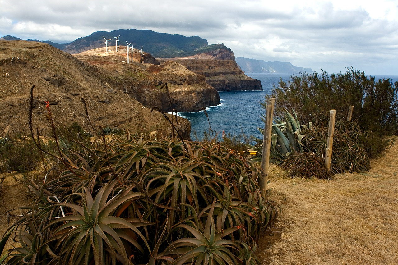 Madeira, Kraštovaizdis, Pietinė Pakrantė, Uolos Pakrantė, Alijošius, Nemokamos Nuotraukos,  Nemokama Licenzija
