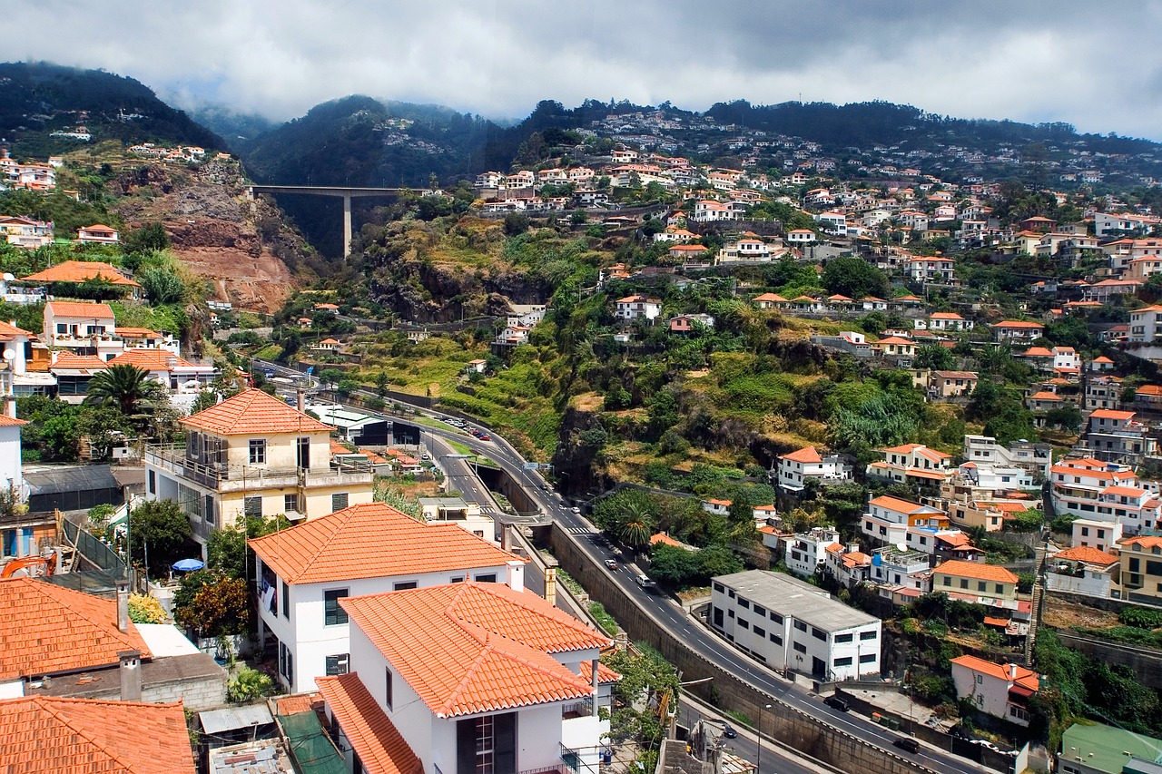 Madeira, Funchal, Panorama, Nemokamos Nuotraukos,  Nemokama Licenzija