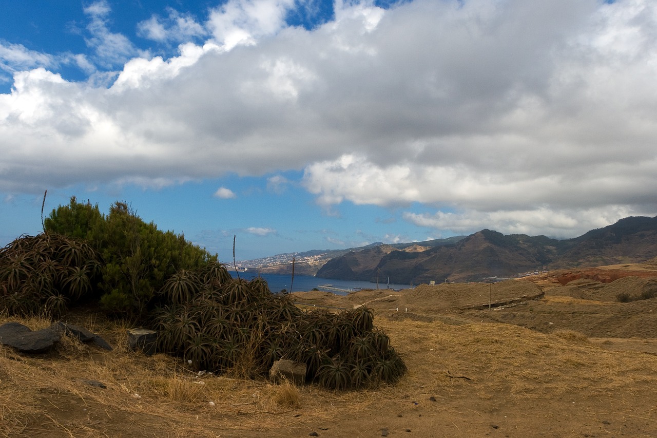 Madeira, Kraštovaizdis, Highlands, Perspektyva, Agavė, Nemokamos Nuotraukos,  Nemokama Licenzija