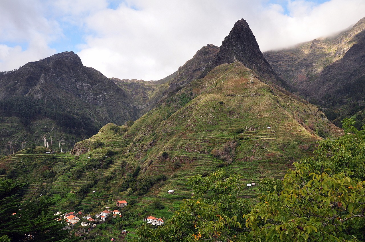 Madeira, Vulkaninis, Žalias, Dėžė, Laukas, Gamta, Sala, Medžiai, Augalai, Kraštovaizdis