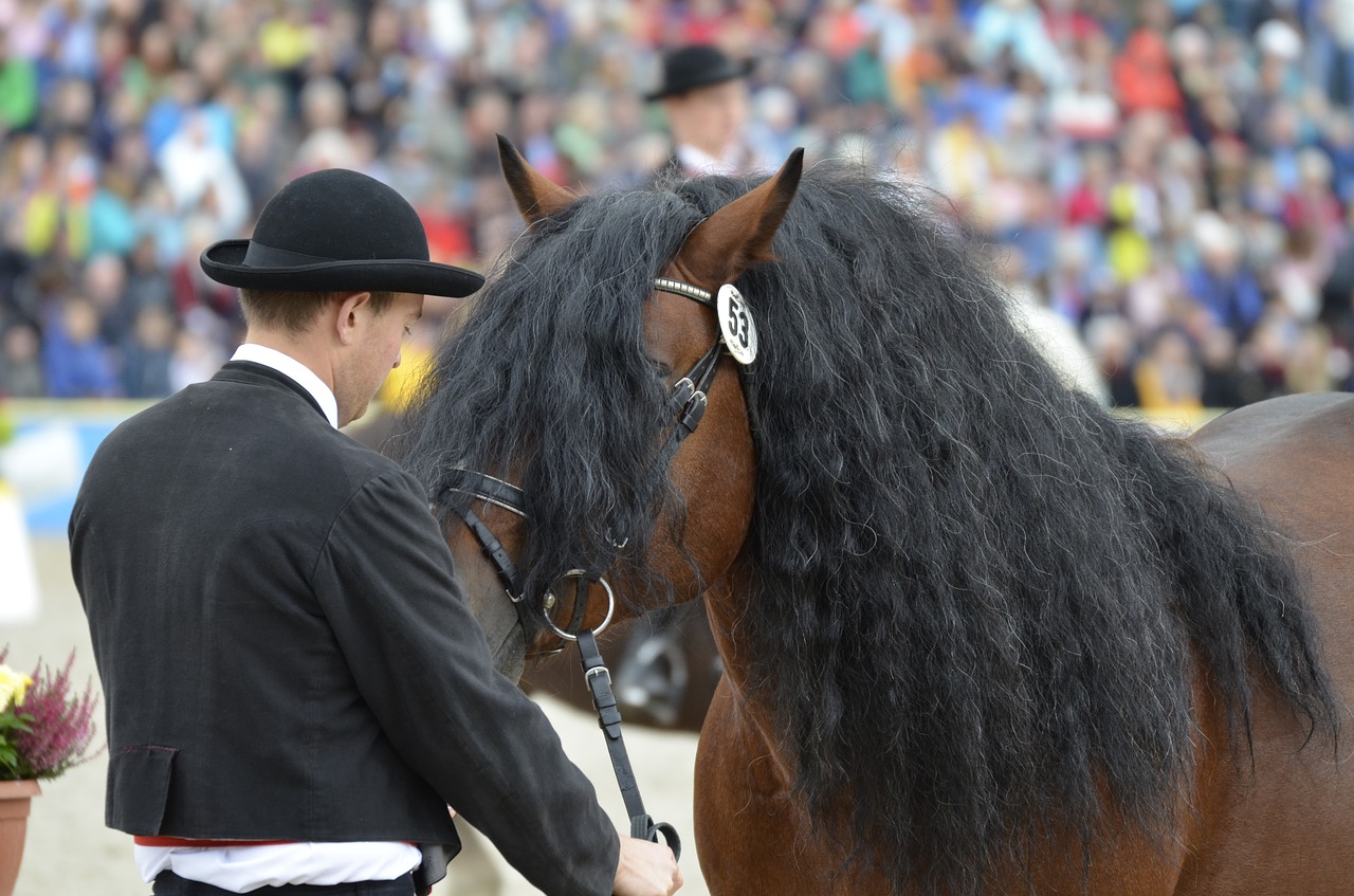 Pagrindinis Ir Valstybinis Stud Marbachas, Erelio Paradas, Kaltblut, Eržilas, Ruda, Marbachas, Arklys, Schwarzwälder Kaltblut, Nemokamos Nuotraukos,  Nemokama Licenzija