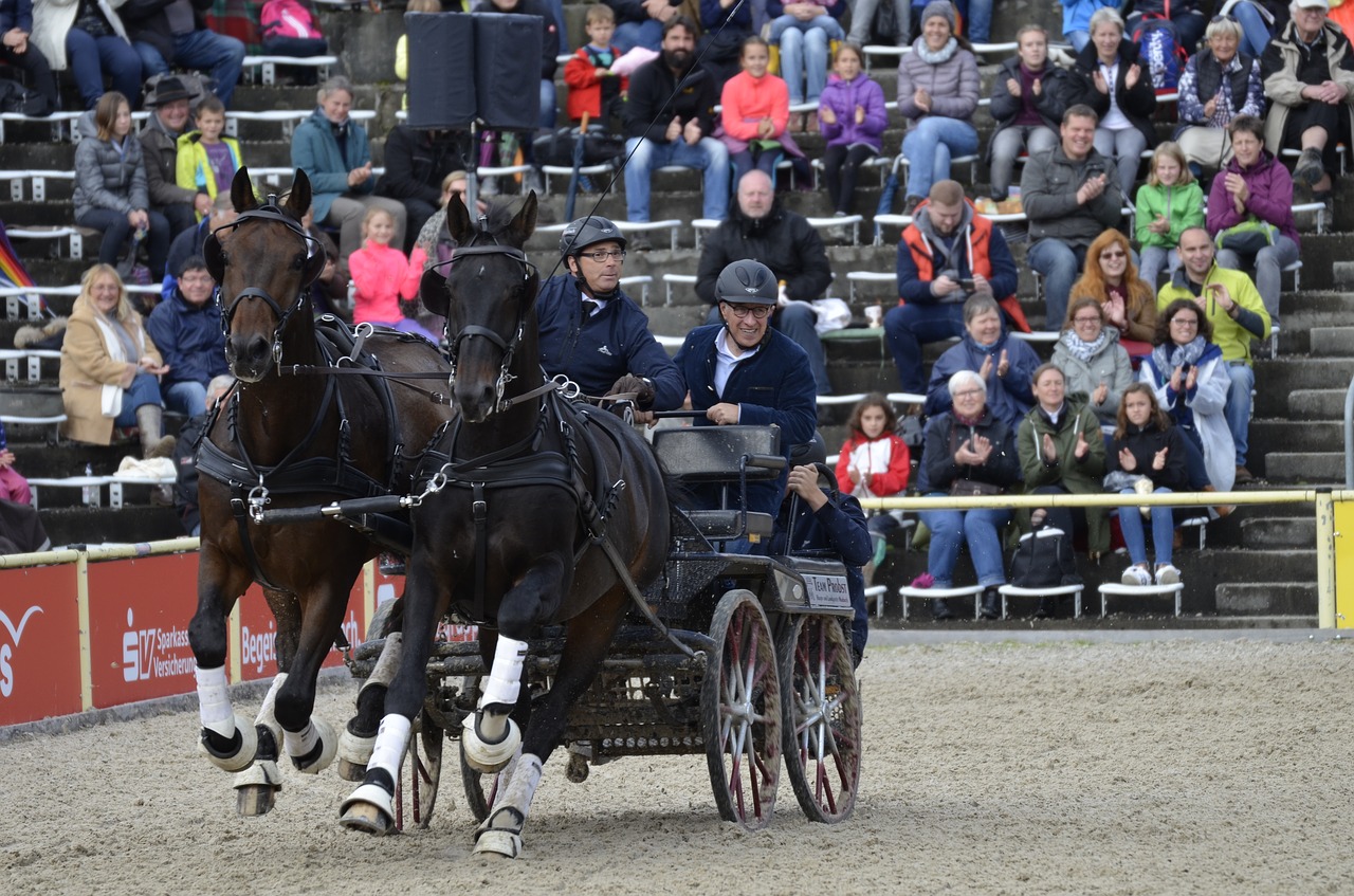 Pagrindinis Ir Valstybinis Stud Marbachas, Žirgų Paradas 2017 M ., Komanda, Treneris, Arklių Vilkikas, Arkliai, Transporto Priemonė, Vagonas, Išdrįsti, Nemokamos Nuotraukos