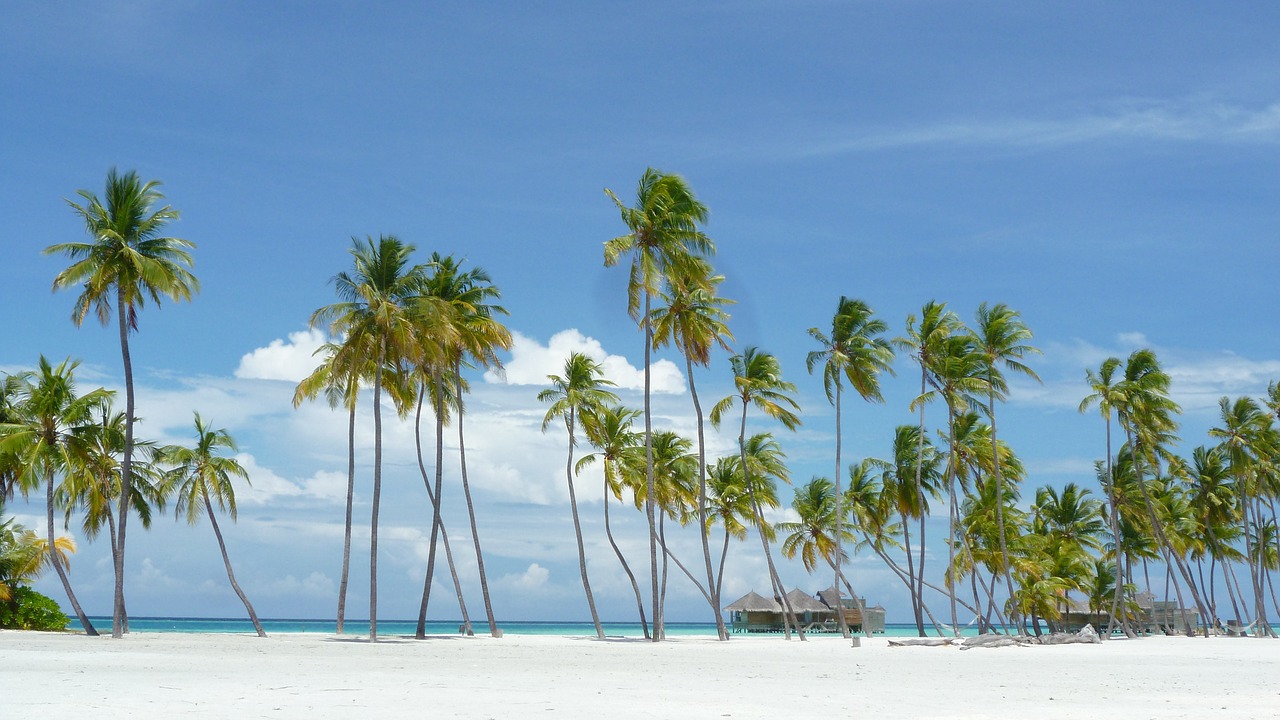 Maldyvai, Salos Rojus, Papludimys, Šventė, Lankanfushi, Nemokamos Nuotraukos,  Nemokama Licenzija