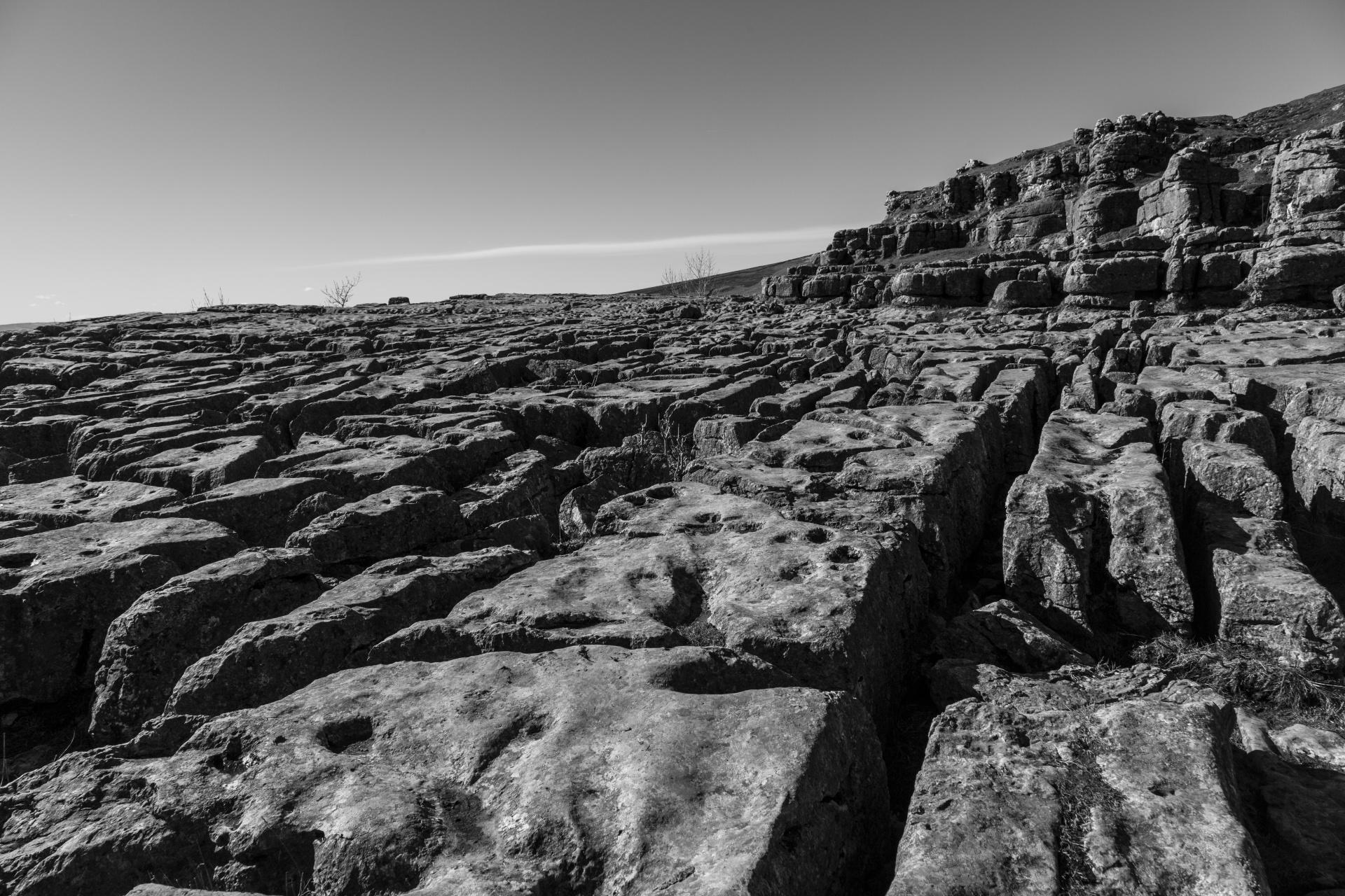 Malham,  Cove,  Uk,  Lauke,  Akmuo,  Parkas,  Nacionalinis,  Dales,  Žalias,  Šiaurė