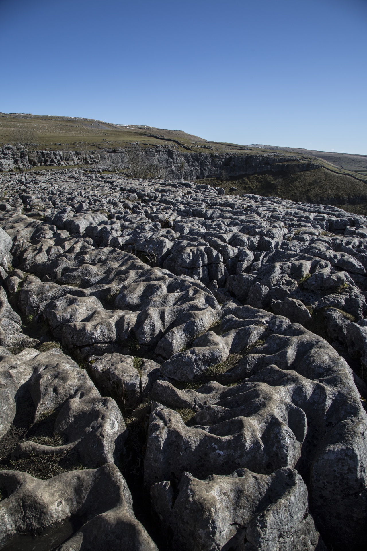 Cove,  Dales,  Laukai,  Žalias,  Keliautojams,  Orientyras,  Kalkakmenis,  Malham,  Nacionalinis,  Šiaurė