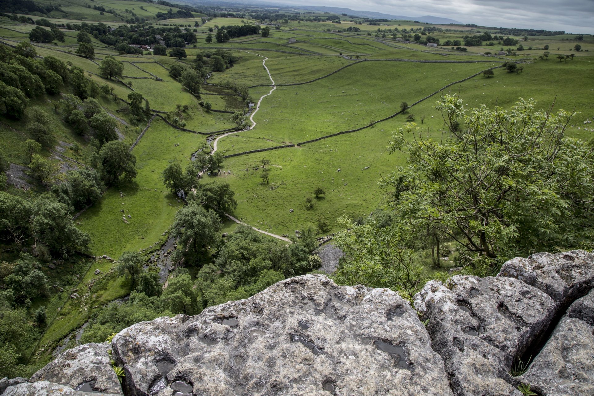 Malham,  Cove,  Uk,  Lauke,  Akmuo,  Parkas,  Nacionalinis,  Dales,  Žalias,  Šiaurė