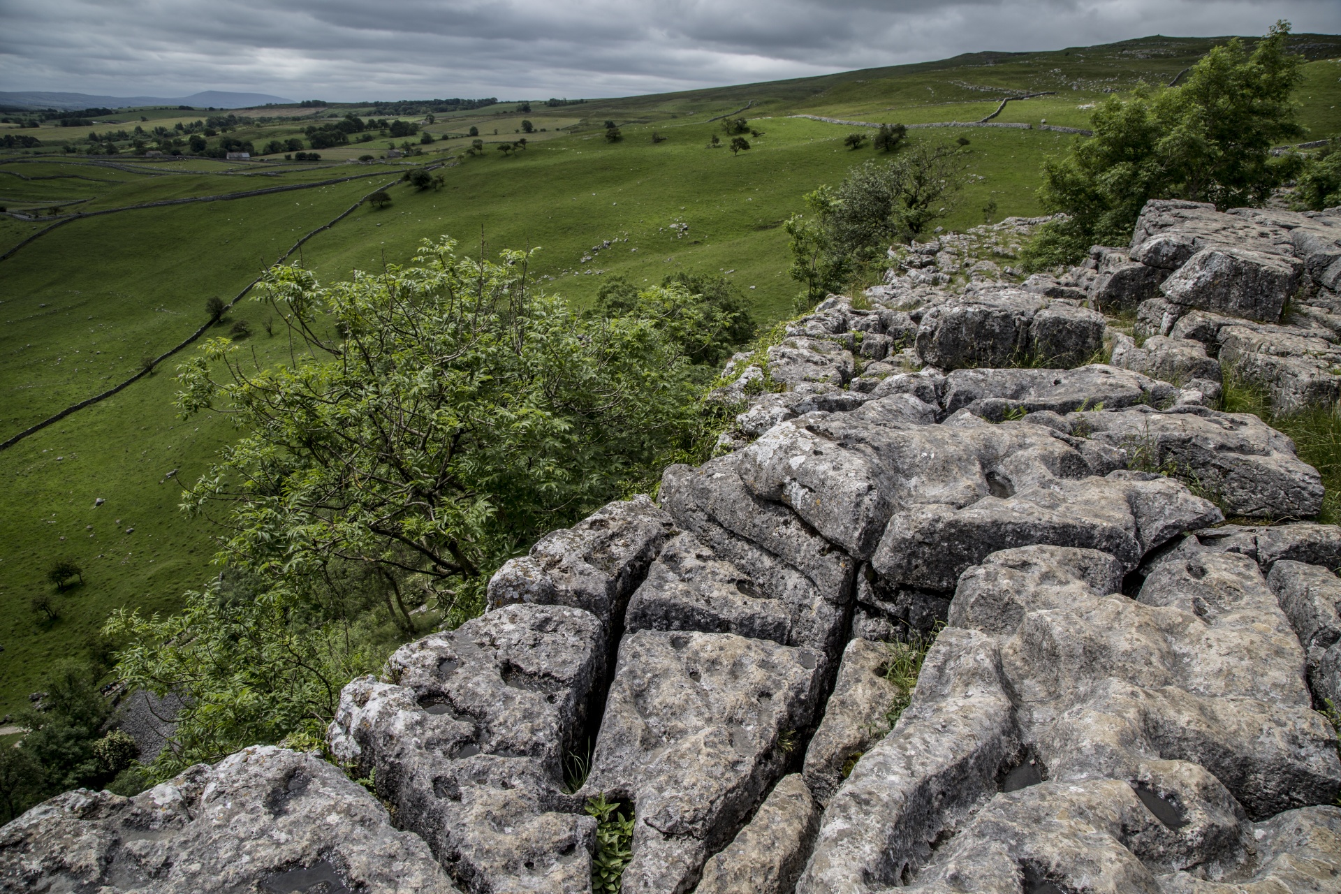 Malham,  Cove,  Uk,  Lauke,  Akmuo,  Parkas,  Nacionalinis,  Dales,  Žalias,  Šiaurė