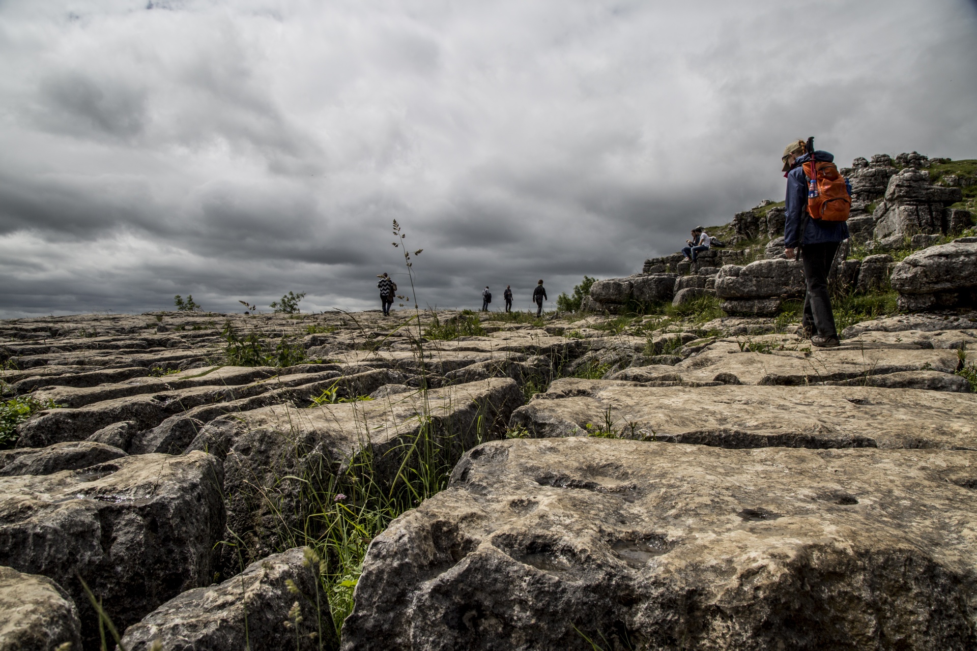 Malham,  Cove,  Uk,  Lauke,  Akmuo,  Parkas,  Nacionalinis,  Dales,  Žalias,  Šiaurė