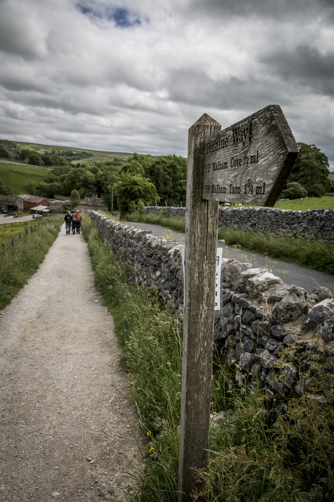 Malham,  Cove,  Uk,  Lauke,  Akmuo,  Parkas,  Nacionalinis,  Dales,  Žalias,  Šiaurė