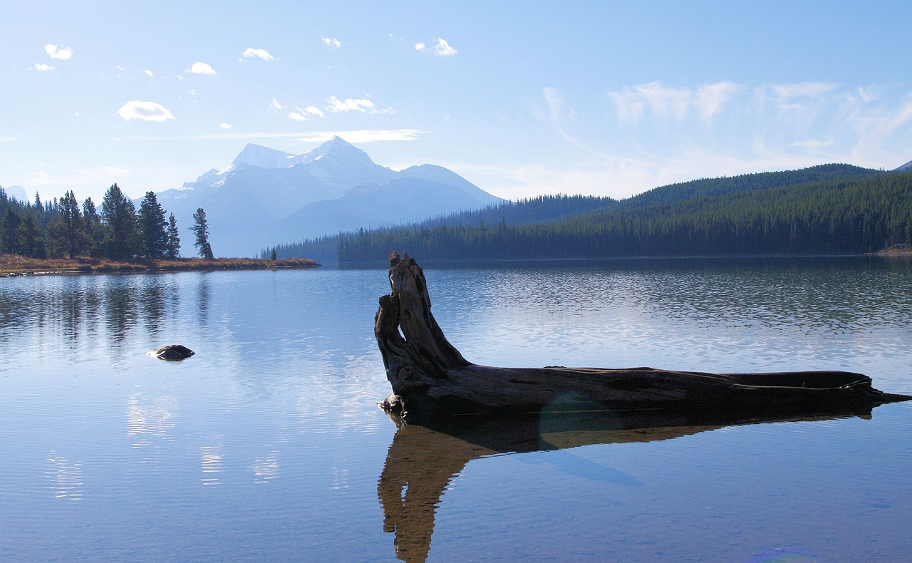 Maljūno Ežeras, Alberta, Kanada, Ežeras, Gamta, Lauke, Nemokamos Nuotraukos,  Nemokama Licenzija