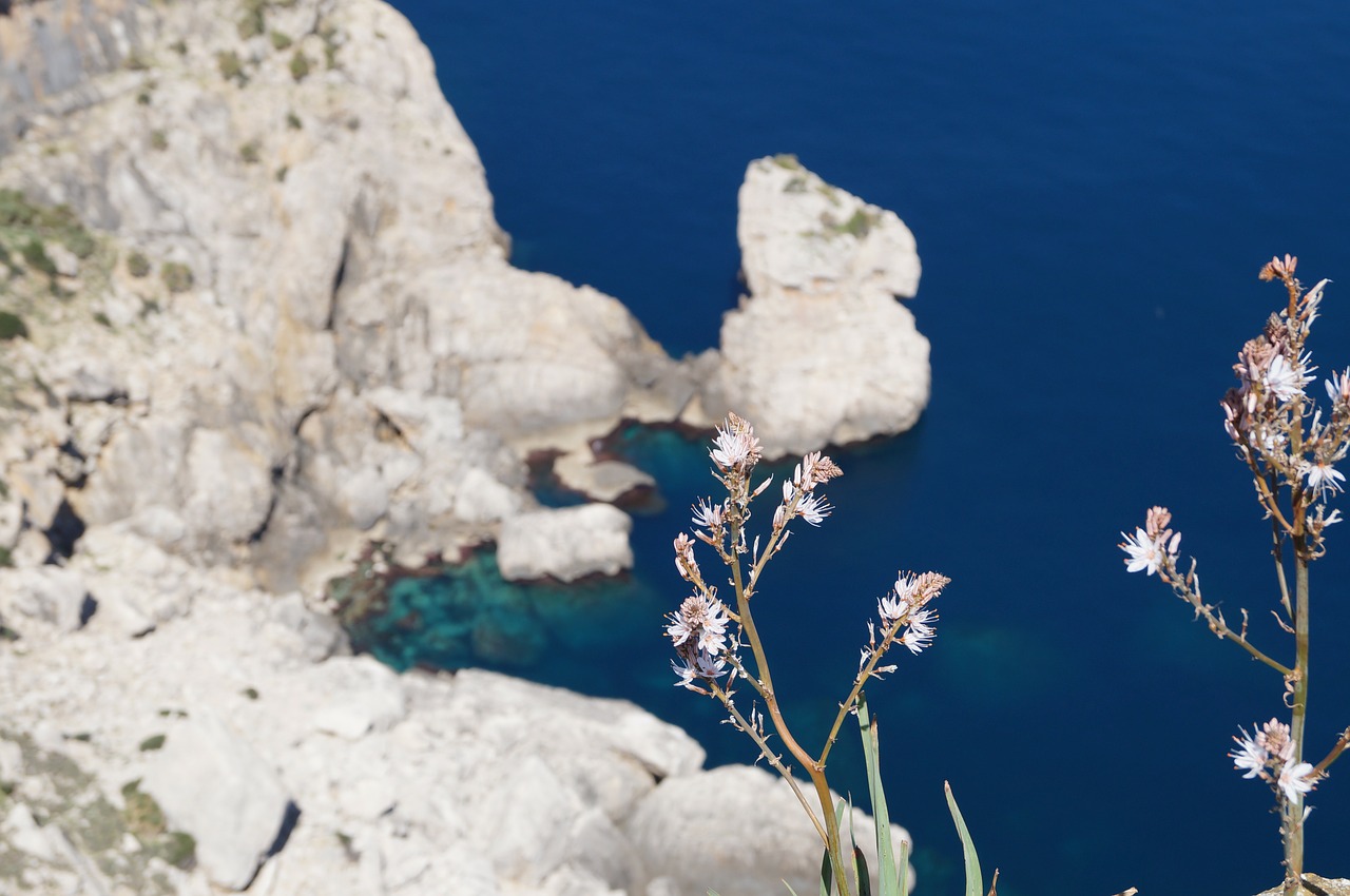 Maljorka, Dangtelis Formentor, Gamta, Rokas, Gėlės, Jūra, Nemokamos Nuotraukos,  Nemokama Licenzija